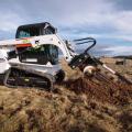 Bobcat T450